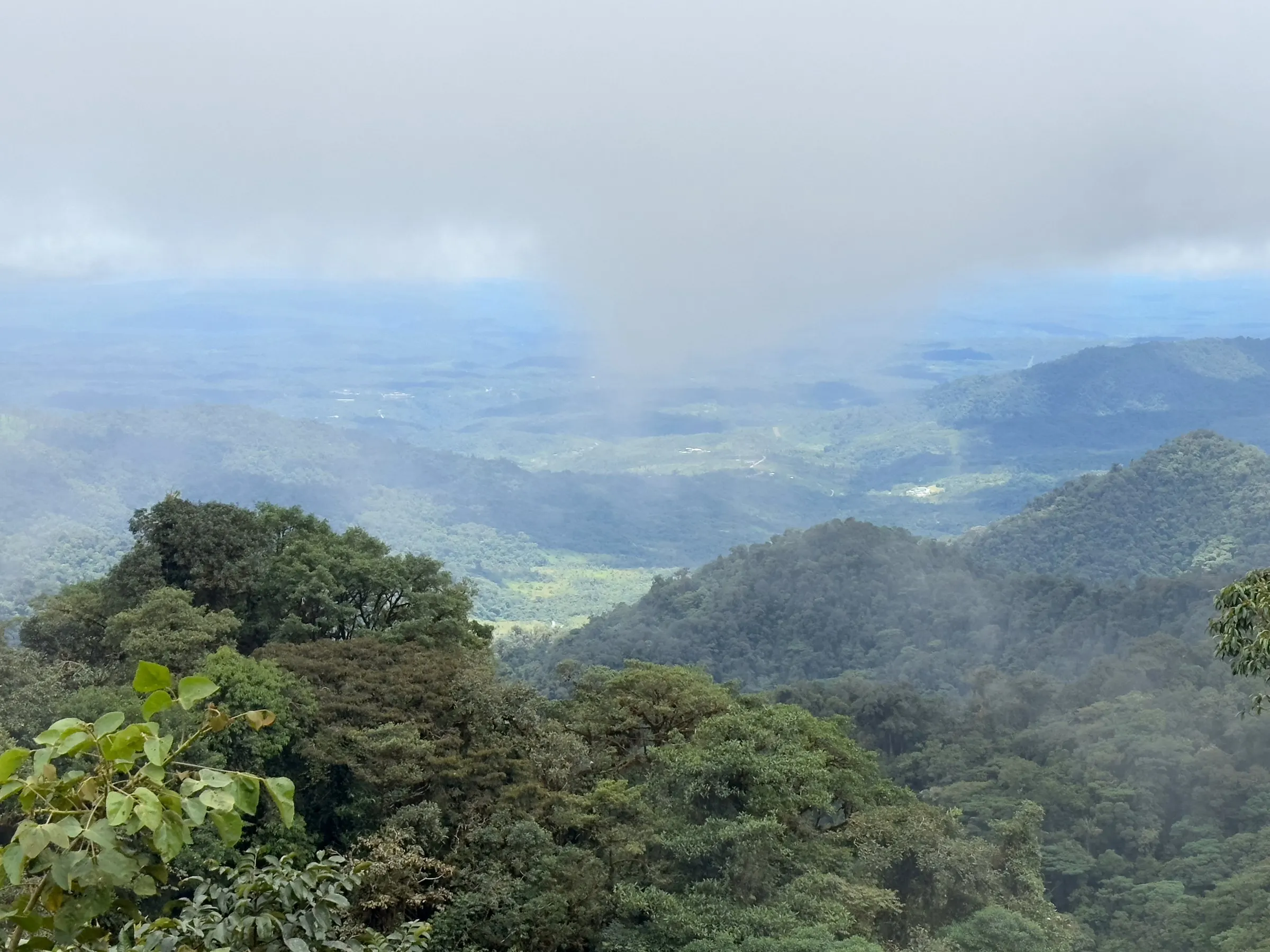 Vista con neblina sobre las lomas de bosque nublado desde la vía de Guacamayos