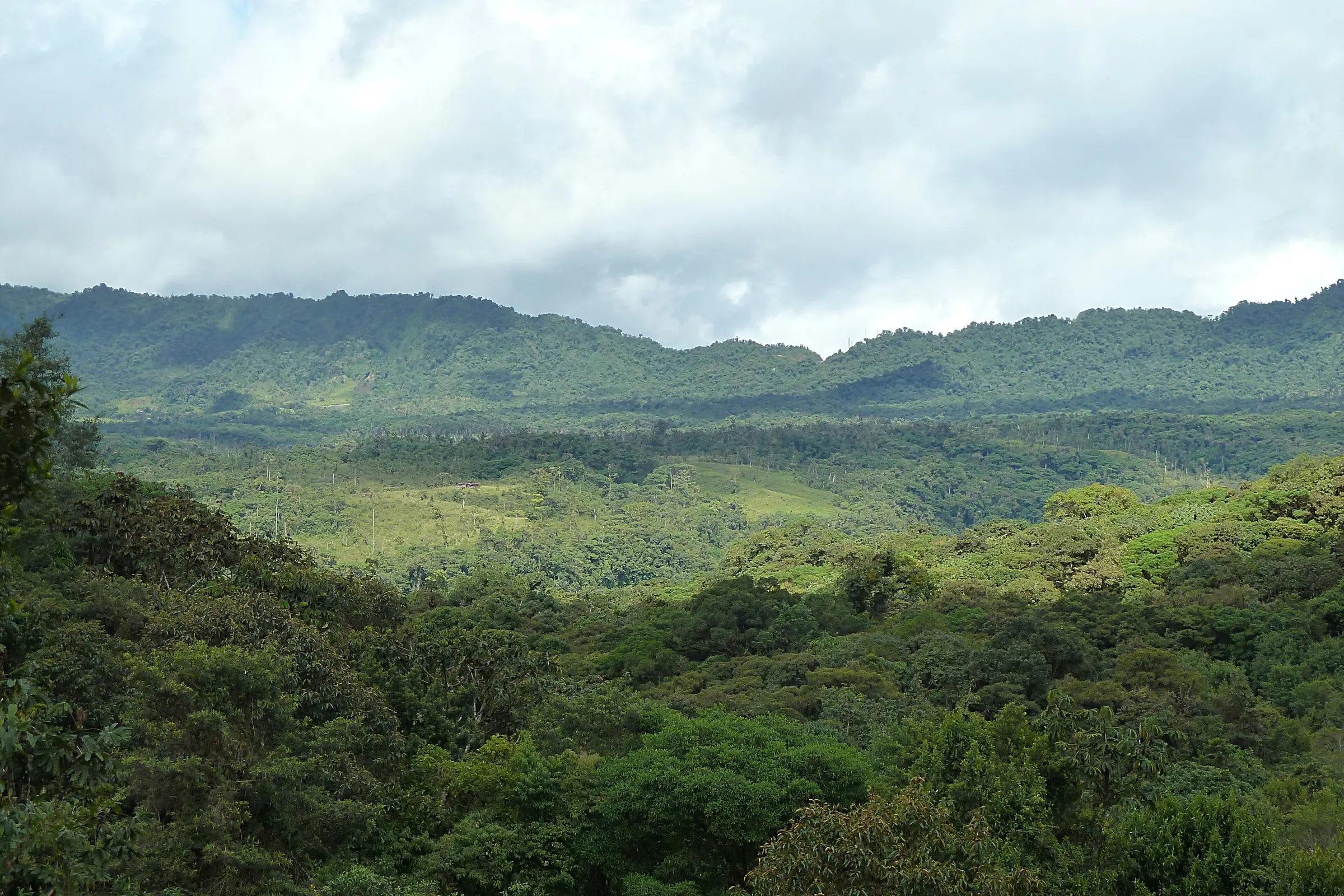 Cloud forest Ecuador: the eastern slope and 7 visitor tips