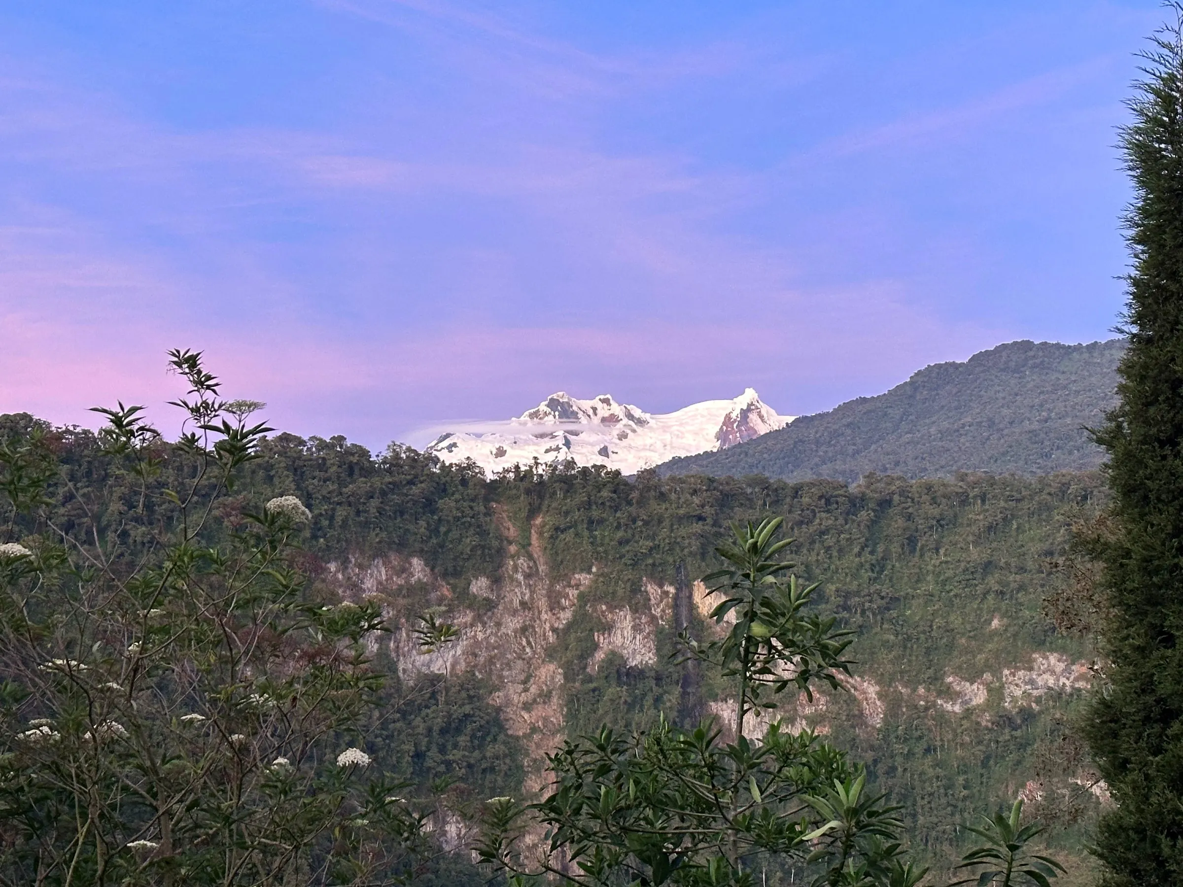 El Antisana al atardecer sobre el valle de bosque, visto desde San Pedrito